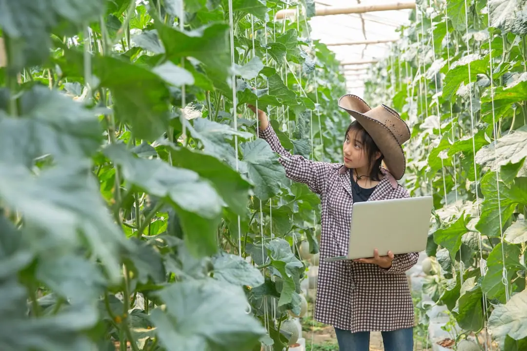 供应商全生命周期管理系统技术架构与实施路径深度解析